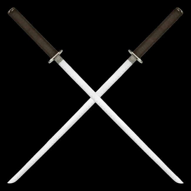 Leonardo Dual Ninja Swords